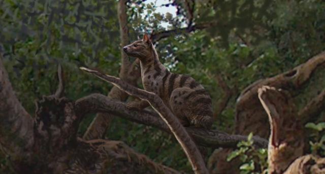 Paleontologists discover fossil of ancient bobcat-sized carnivore!
