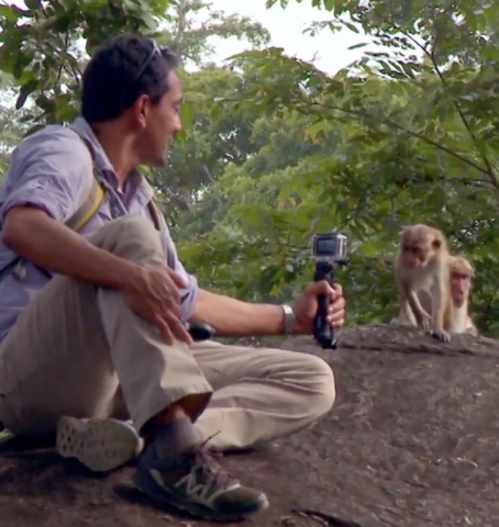 See Monkey Kingdom and make a difference!