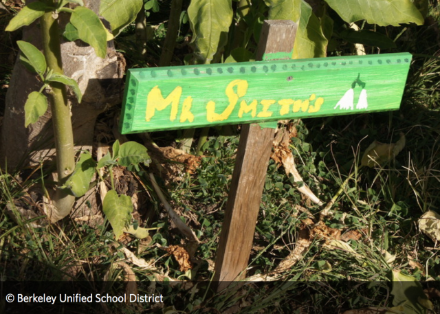 Lesson Plan: Greening Your Middle School