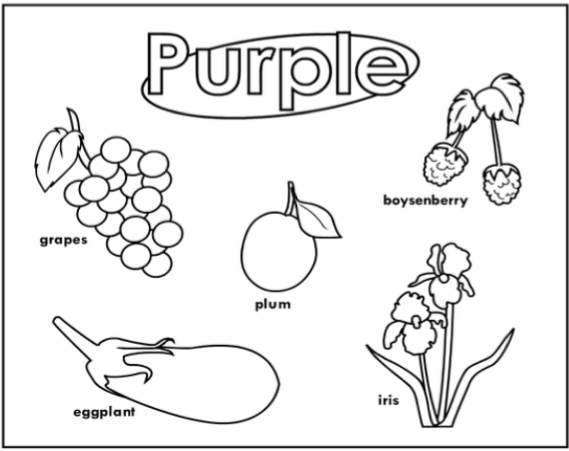 Colors Printables Collection