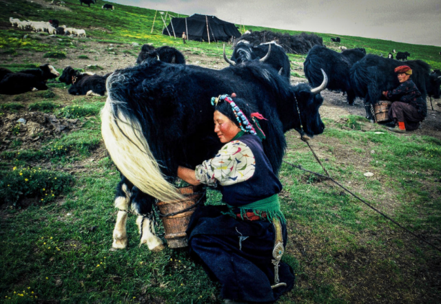 The Value of Ancient Traditions | Global Oneness Project