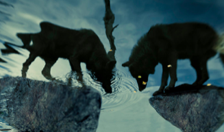 The Man and the Wolf | Global Oneness Project 