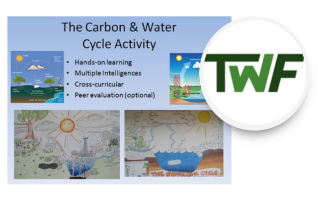 Water and Carbon Cycle Diagram Activity - Bring out their creativity!