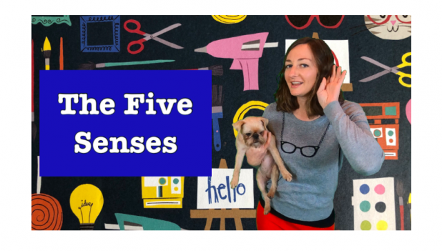 The Five (and more!) Senses / Observational Properties Lesson for Kids