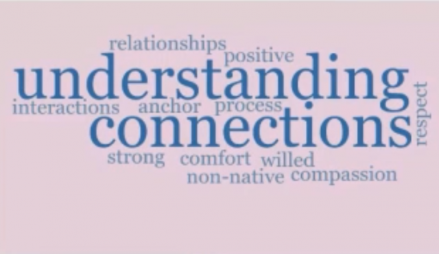 SEL Practices for Virtual Learning