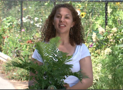 ‪The Case of the Stolen Painting: A Forensic Mystery‬