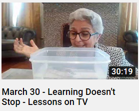 Hands-On Investigation: Sink or Float?