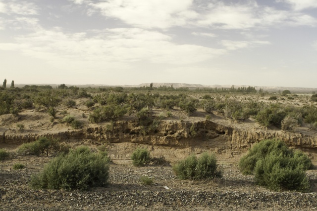 Farming the Desert - Geography of the Sahel