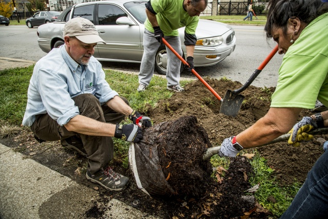 Meet the Scientist: Bill Toomey