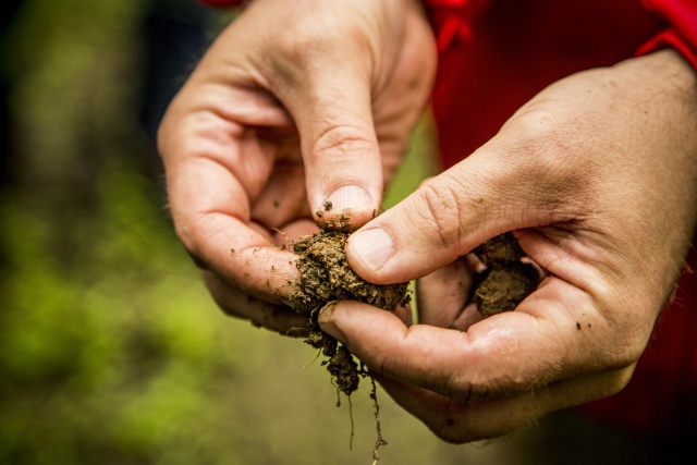 The Role of Soil - Gardens Activity Guide