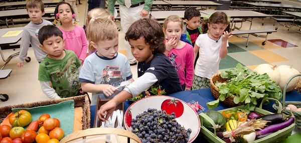Health, Nutrition and Wellness Strategies for Your School and Community