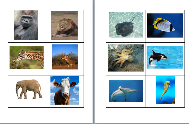 ECE Sorting Land vs Ocean Animals