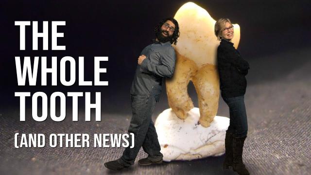 4 Awesome Discoveries You Probably Didn’t Hear About This Week - Episode 19