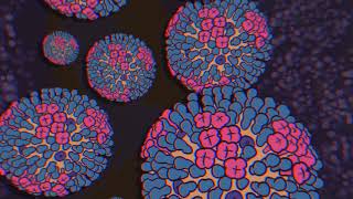 Spanish Flu Face Mask: A Century's Crusade against a Pandemic