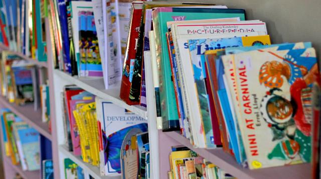 Picture Books and the Bill of Rights Activity