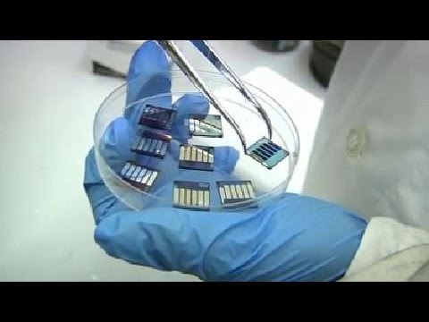 NSF Science Now: Episode 13