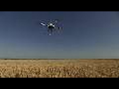 NSF Science Now: Episode 17