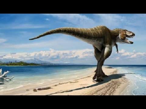 NSF Science Now: Episode 18