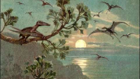 NSF Science Now: Episode 23