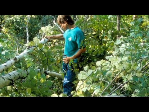 NSF Science Now: Episode 3