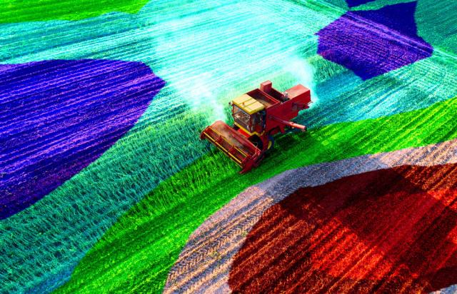 Smart farming: Using data to make decisions