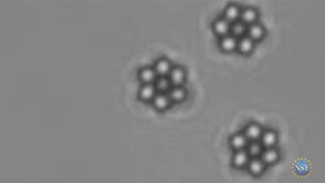 Micro-particles self-assemble into spinning gears