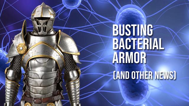 4 awesome discoveries you probably didn't hear about this week -- Episode 9