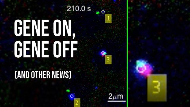 4 awesome discoveries you probably didn't hear about this week -- Episode 10