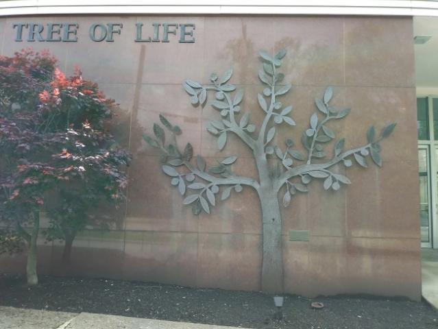 Deadly Shooting at the Tree of Life Synagogue