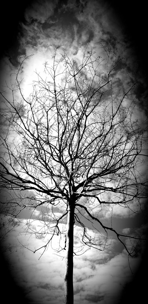 annemarie.mcnamara_3294855