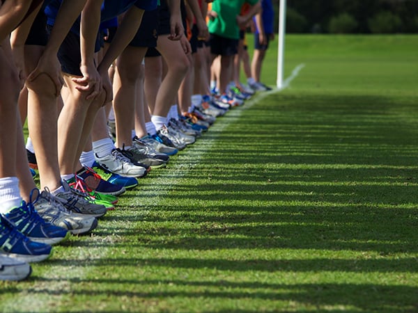 Sport Education Criteria